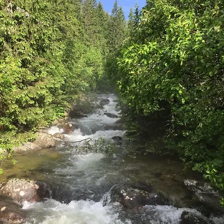 Privat U Babky Homestay *