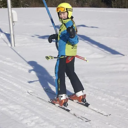 Homestay Privat U Babky Zdiar