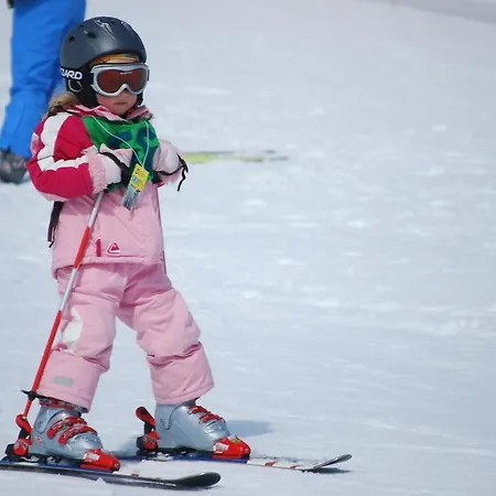 Privat U Babky Homestay *